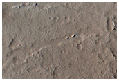 Flows and West Echus Chasma