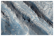 Ridge Near Hrad Vallis