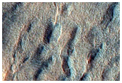 Cracks and Fissures in Crater Fill