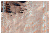 Monitor Seasonal Changes at South Polar Cracked and Gullied Site