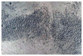 Meridiani Planum Stratigraphy
