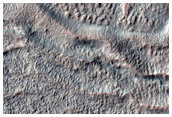 Gully Monitoring