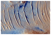 Active Sand Monitoring in Pasteur Crater