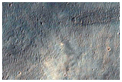 Chloride-Rich Terrain on Banks of Run-Off Channel