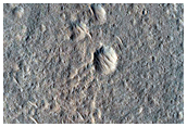 Candidate Landing Site for 2020 Mission Near Hypanis Valles