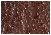 South Polar Region Cryptic Terrain