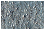 Infilled Crater in Noachis Terra