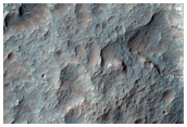 Putative Chlorides in Carved Depression