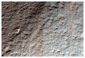 Araneiform-Rich Layers on Rim of Reynolds Crater
