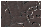 Small Fan-Like Features on Perennial Cap