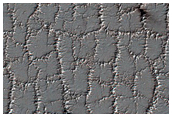 Bright and Dark Fans on Patterned Ground