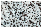 Seasonal Haloes and Fractal Patterns
