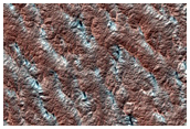Cryptic Terrain Evolution