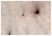 Araneiform Morphology