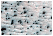 Dusty Cryptic Terrain