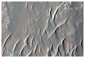 Candidate Landing Site for 2020 Mission in Capri Chasma