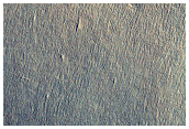 Northern Plains Terrain