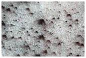 Spiders in Polar Layer Deposits Monitoring