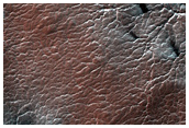 Region Dubbed Manhattan Classic Spider Terrain