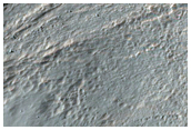 Gullies in Southern Mid-Latitude Crater