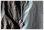 Volatiles and Gullies