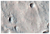 Gullies in Southern Mid-Latitude Crater