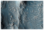 Central Structure of Impact Crater