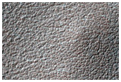Southern Permafrost Survey