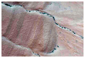 Gully Monitoring