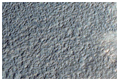 Gullies in Crater in Terra Sirenum