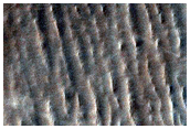 Linear Gullies in Hellas Planitia