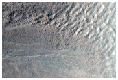 Gullies on Central Peak Material in Liu Hsin Crater