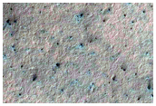 Spiders in Polar Layer Deposits Monitoring