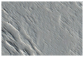 Proximal Section of Long Lava Flow Near Ascraeus Mons