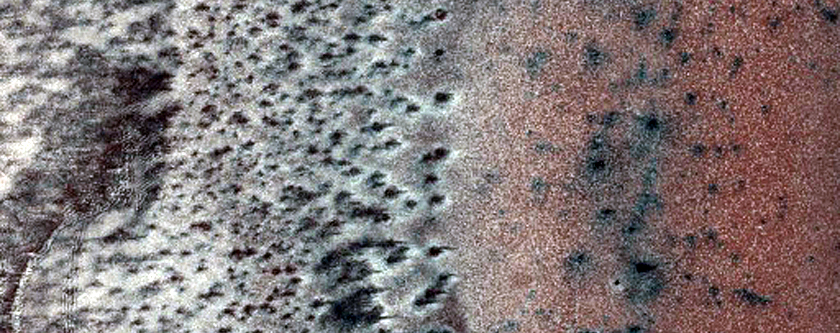 Seasonal Monitoring of Southern Dunes