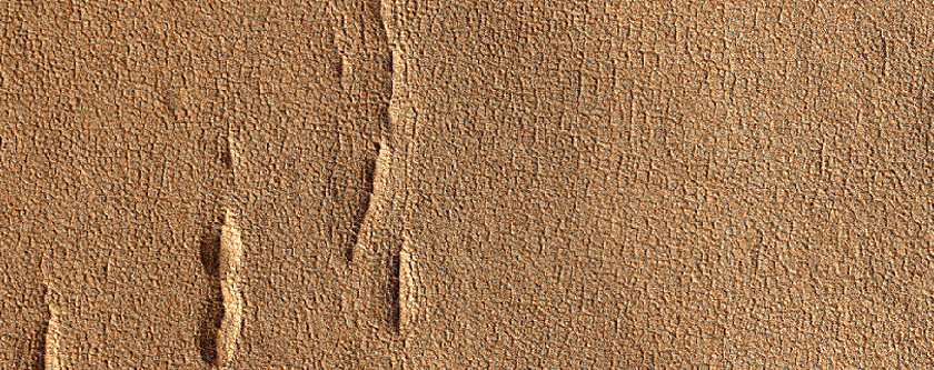 Un crter con un borde prstino ycrestas concntricas en Arcadia Planitia