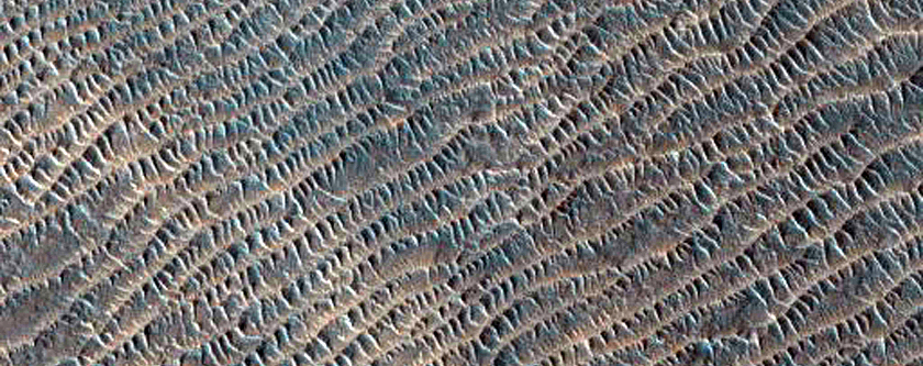 Survey Layering and Faulting in Melas Chasma