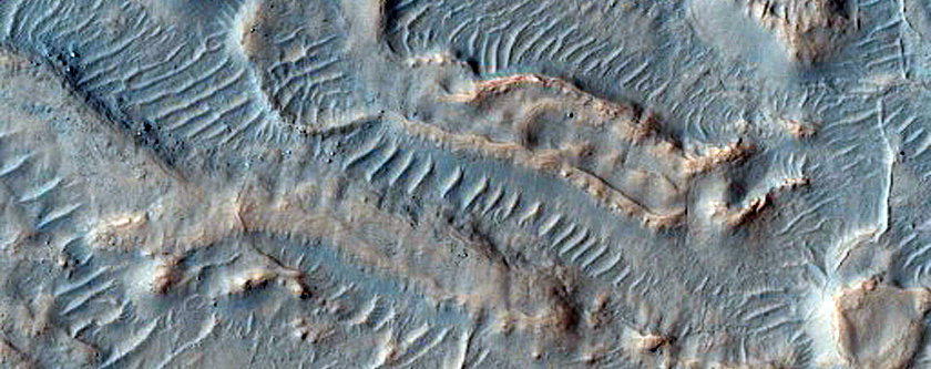 Gullied Crater Wall