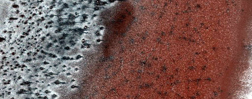 Seasonal Monitoring of Southern Dunes