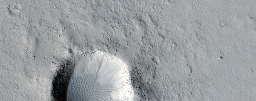 Marte Vallis