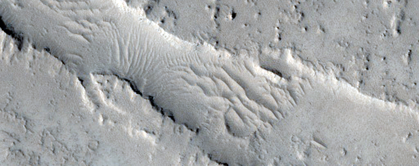 Sample of Floor of Echus Chasma