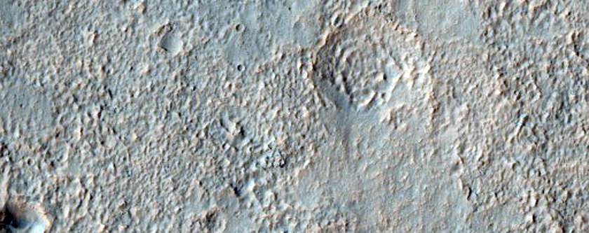 Gully in Southern Mid-Latitude Crater