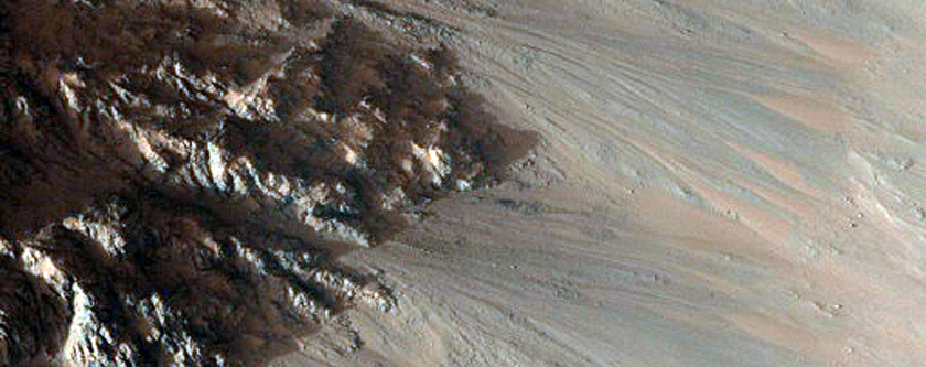 Phyllosilicates in East Coprates Chasm
