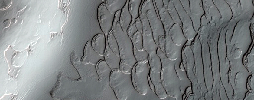 South Pole Residual Cap Texture on Ridges
