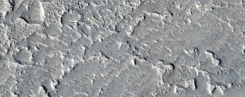 Overlapping Sinuous Ridges at Distal End of Fan in Reuyl Crater