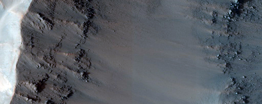 Benches in Crater in Terra Sirenum