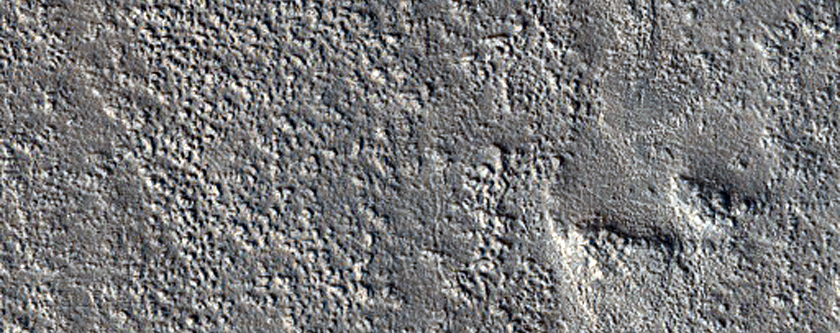 Flow Features Near Elysium Region