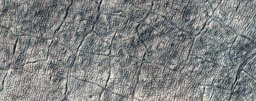 Polygons in Gilbert Crater