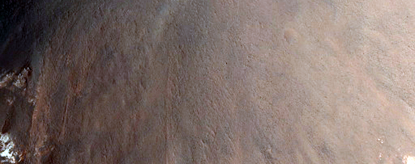 Gullies and Light-Toned Outcrops in Crater Wall