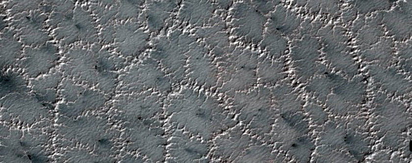 Bright and Dark Fans on Patterned Ground
